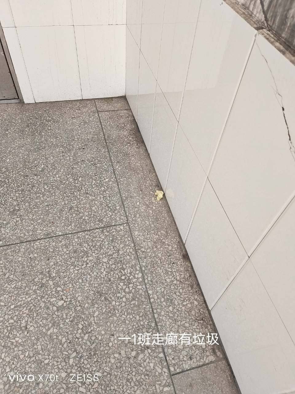 今日板小3.27(图8)