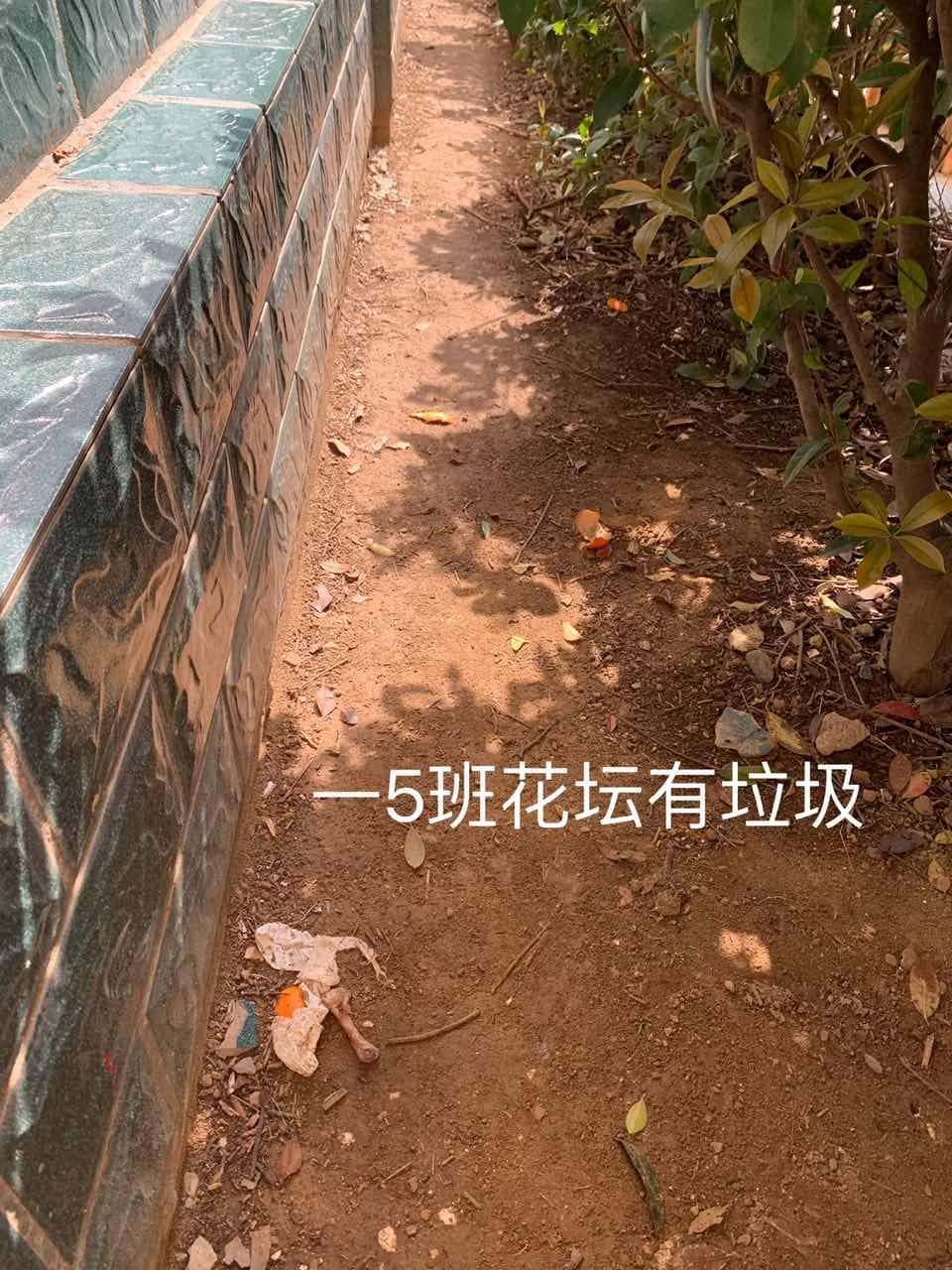今日板小3.27(图7)