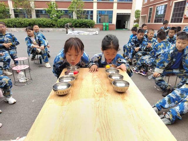 综合实践之旅——四2班(图11)
