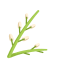 清明节放假通知|致家长的一封信(图5)