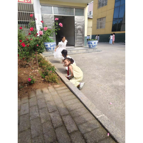 今日板小2025.6.17
