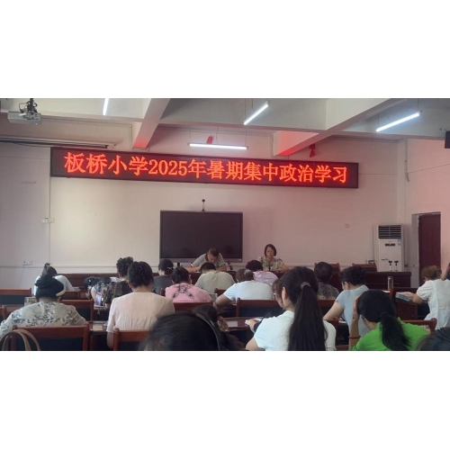 蓄力提升,赋能发展——板桥小学开展2025年暑期集中政治学习