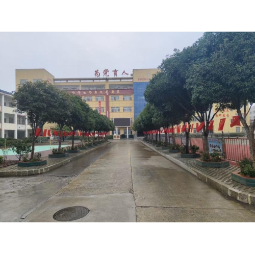 2025年板桥小学“我们的节日・中秋”活动圆满结束