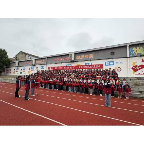 强国复兴有我，争当新时代好少年——板桥小学 新队员入队仪式