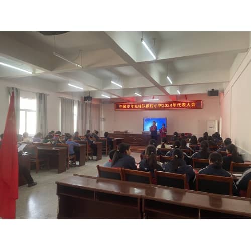 红色基因代代传——中国少年先锋队板桥小学2024年代表会活动总结