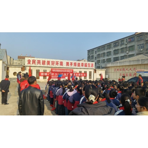 板桥小学少先大队学雷锋社区义务劳动主题队日