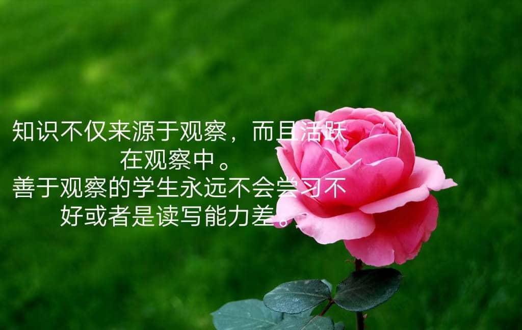 读“教会学生观察和发现”有感(图1)