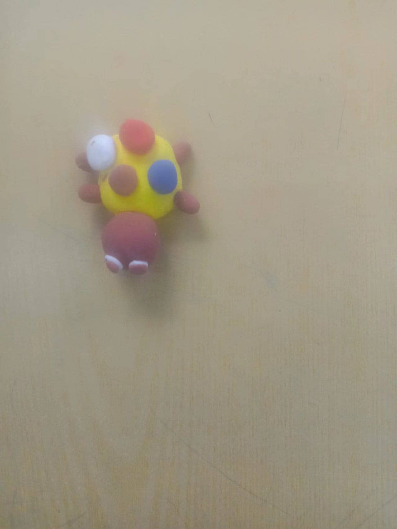 手工制作   小乌龟(图3)