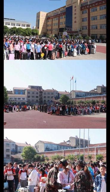 快乐实践  助力成长(图1)