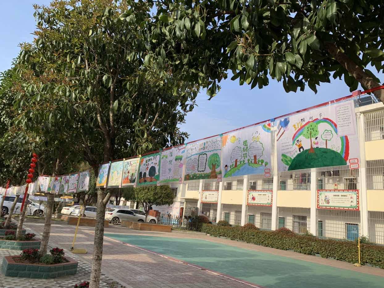 关爱自然 守护绿色——板桥小学植树节手抄报展示(图1)