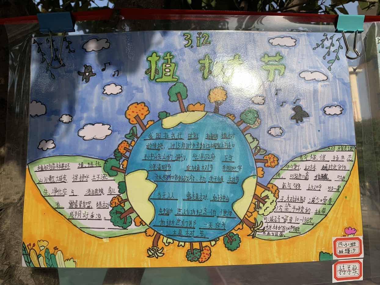 关爱自然 守护绿色——板桥小学植树节手抄报展示(图2)