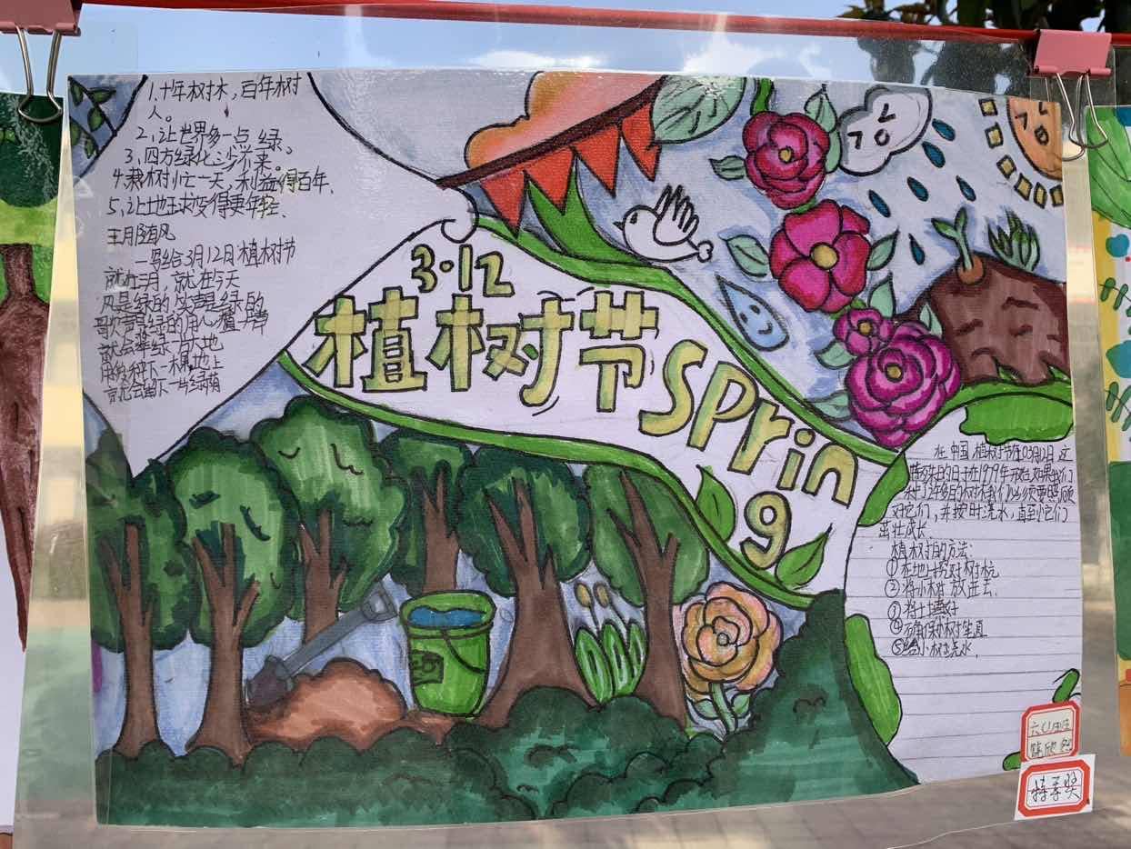 关爱自然 守护绿色——板桥小学植树节手抄报展示(图3)