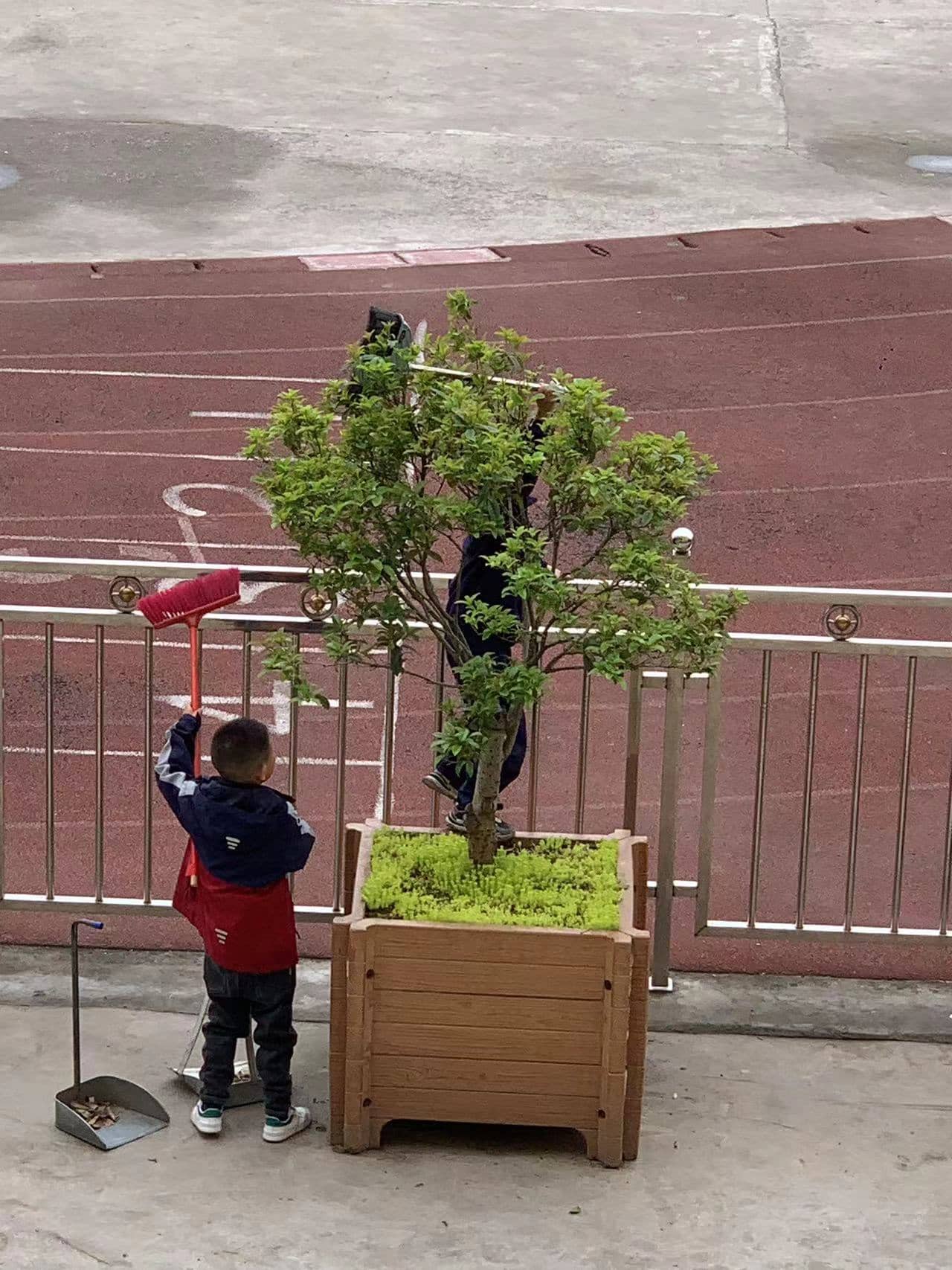 今日板小4.7(图12)