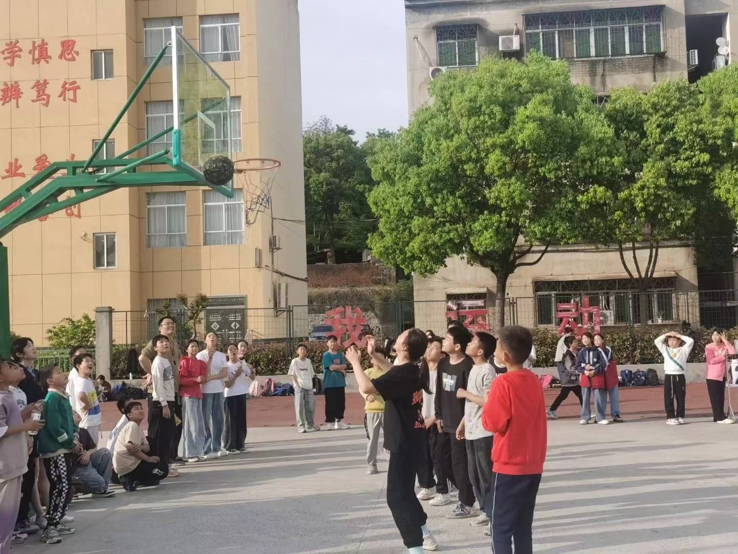 今日板小4月18日(图3)