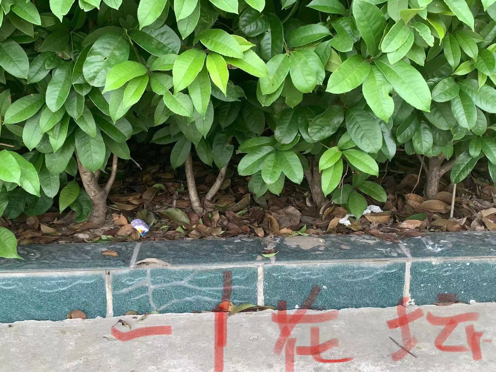 今日板小4月25日(图13)