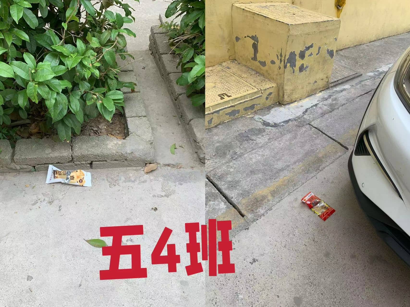 今日板小2024.5.23(图4)