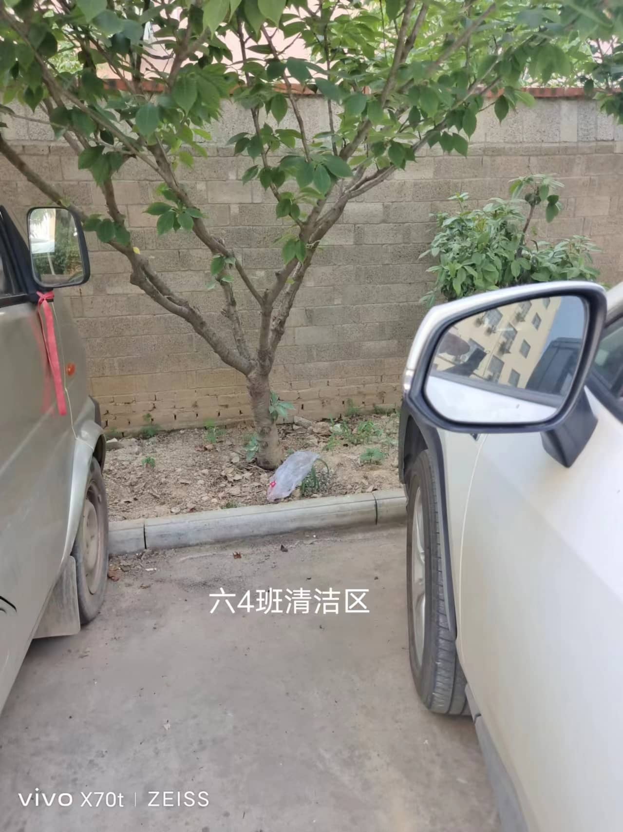 今日板小2024.5.23(图12)