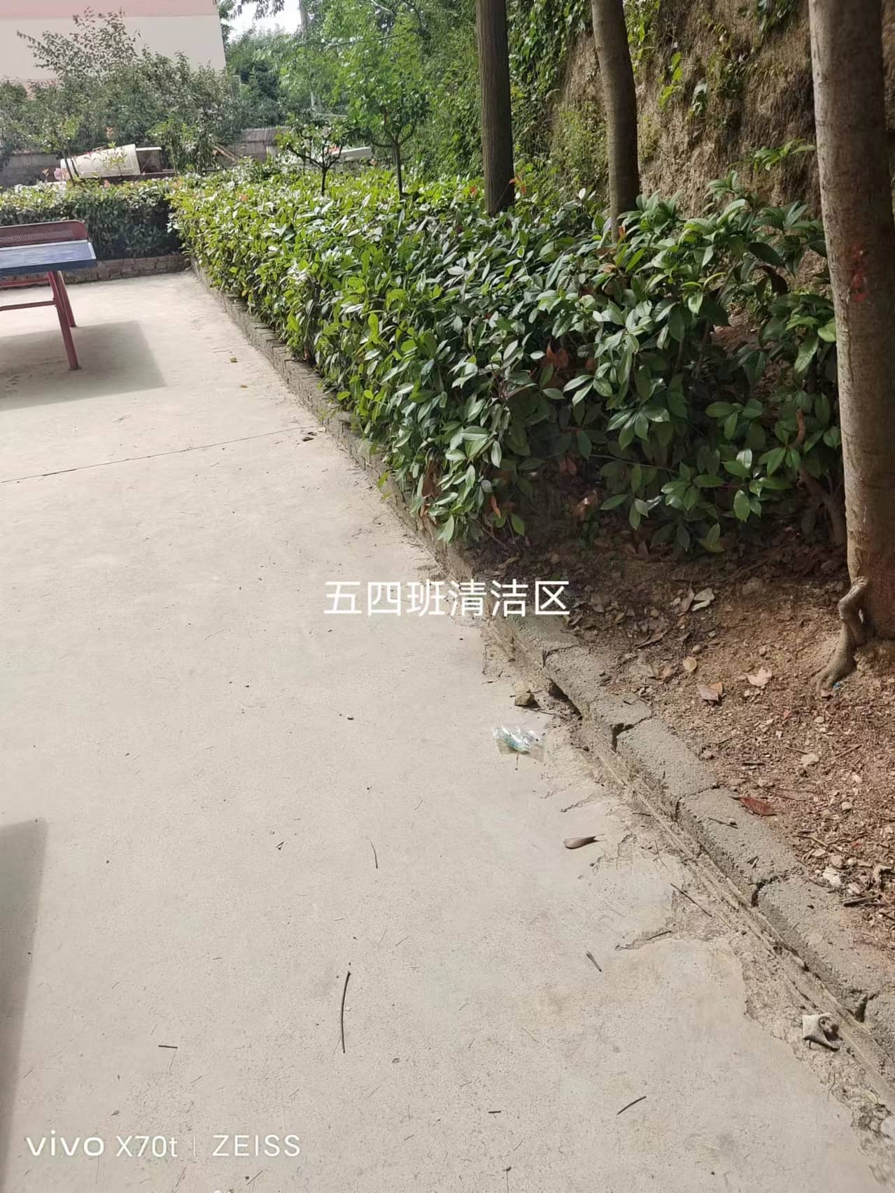 今日板小5.30(图5)