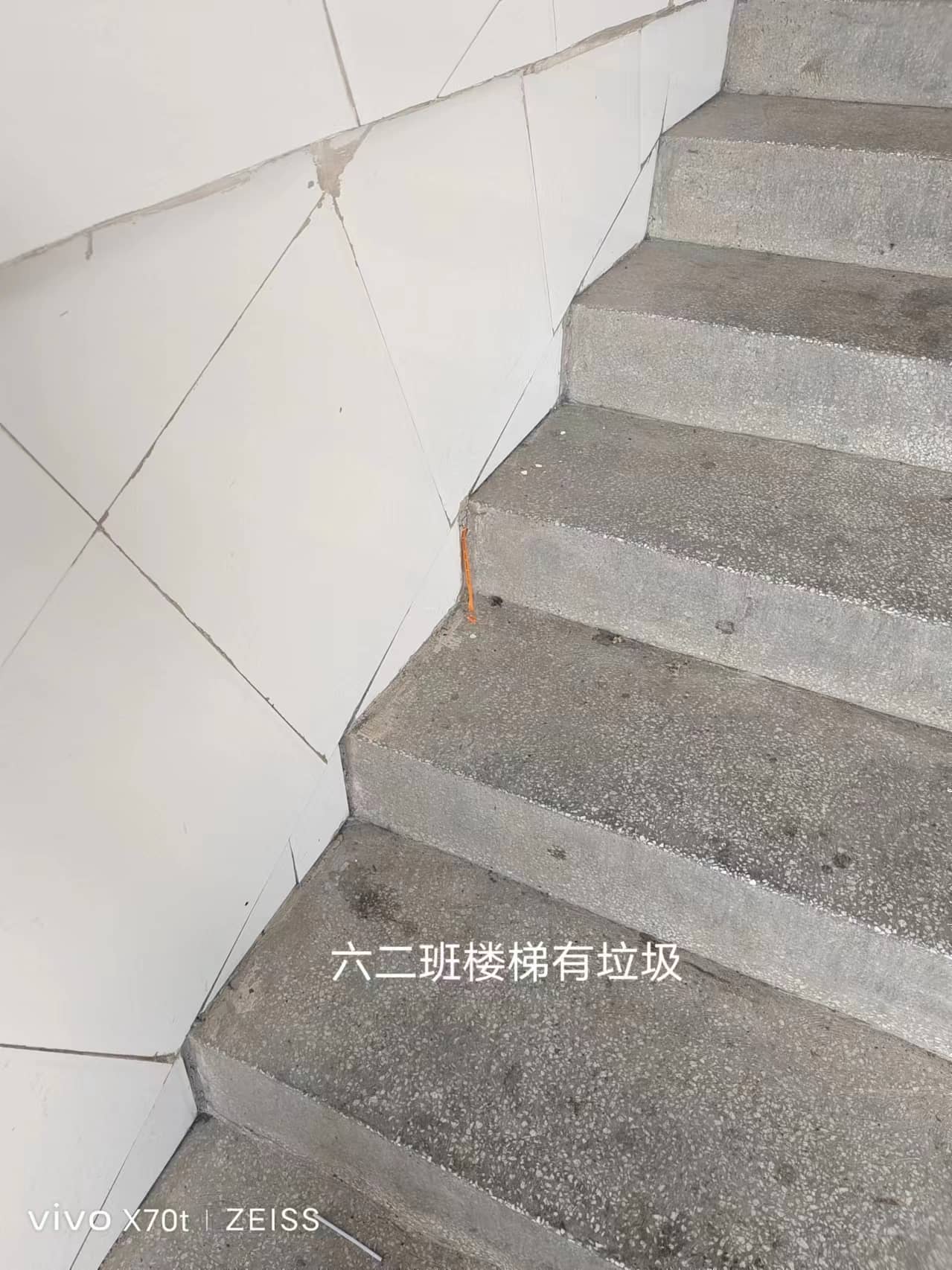 今日板小6.20(图4)