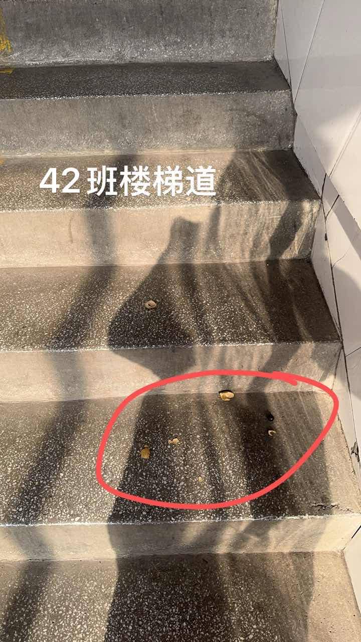 今日板小12.13(图6)