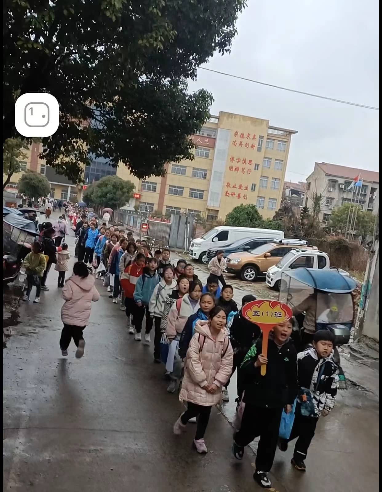 今日板小2023.3.16(图5)