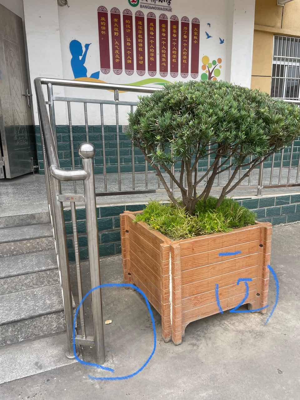今日板小2023.6.8(图2)