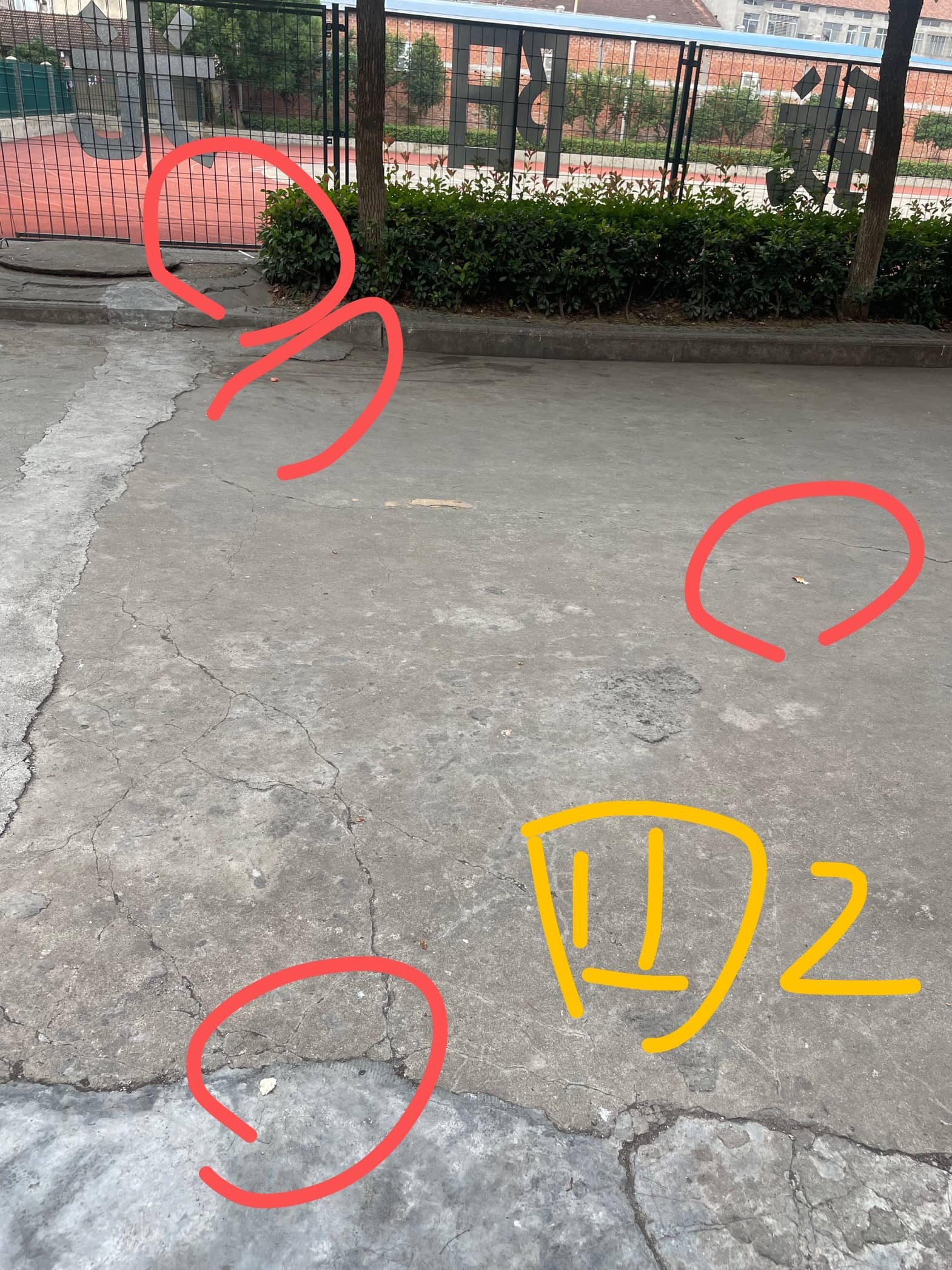 今日板小2023.6.15(图5)