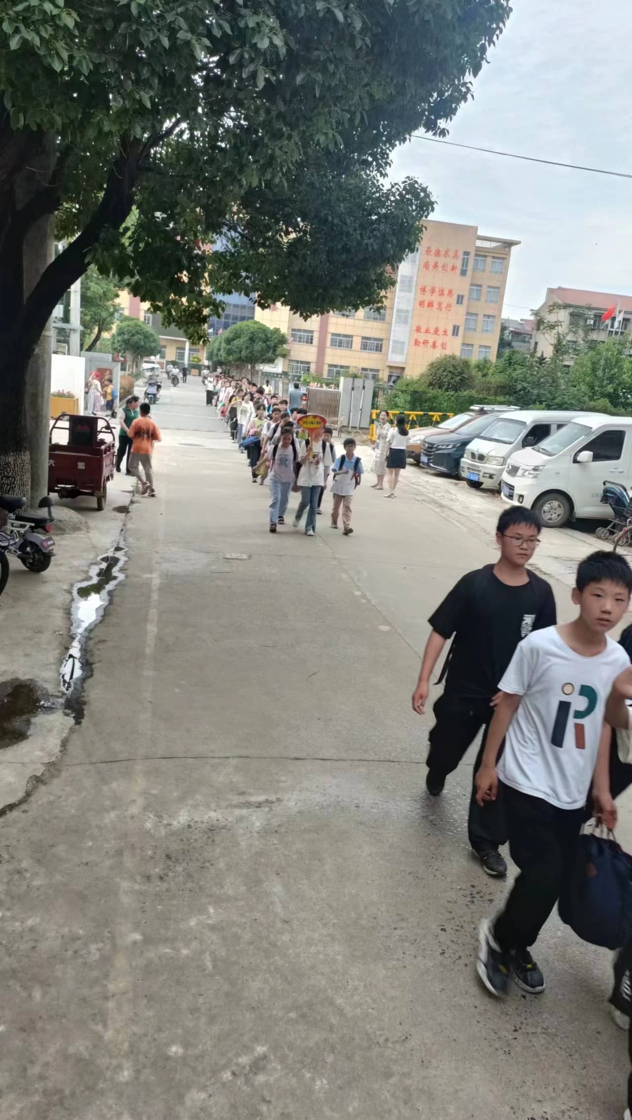 今日板小2023.6.15(图7)