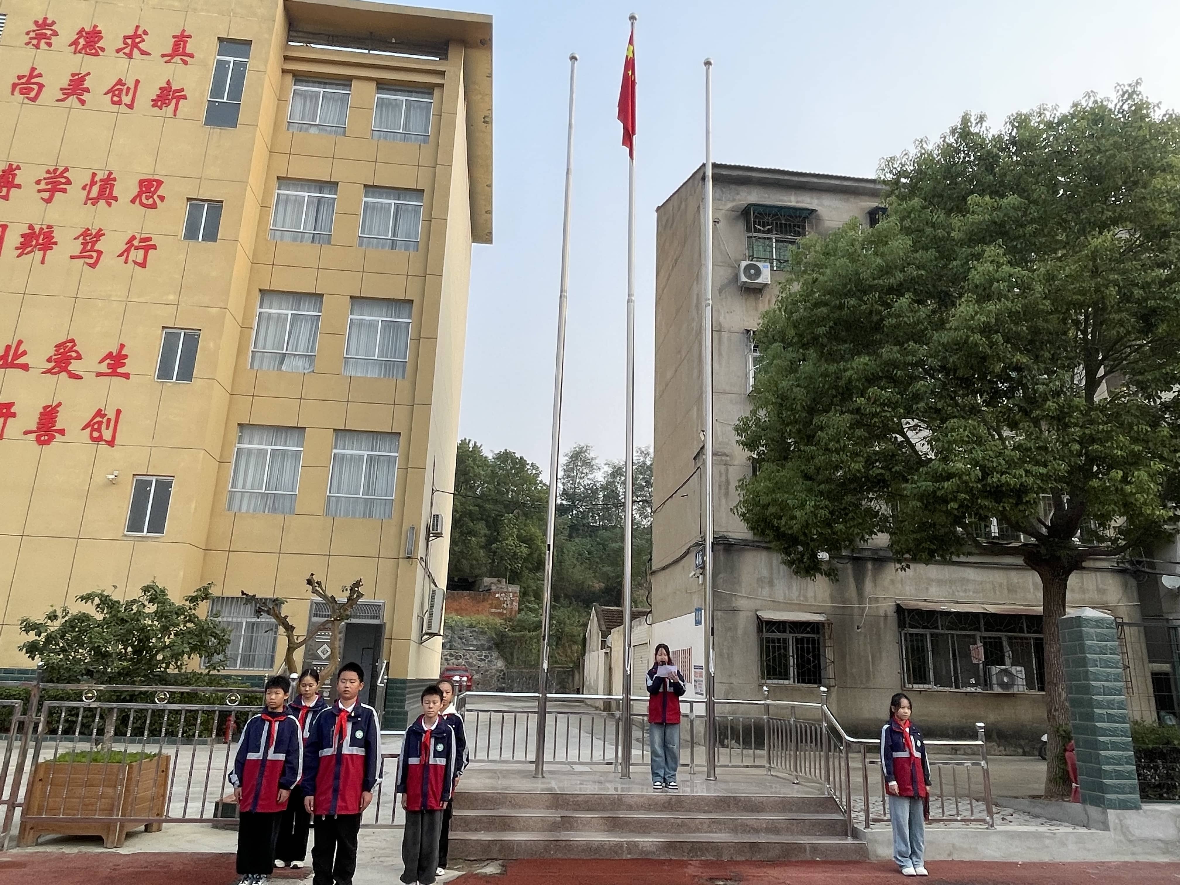 今日板小2024.10.8(图1)