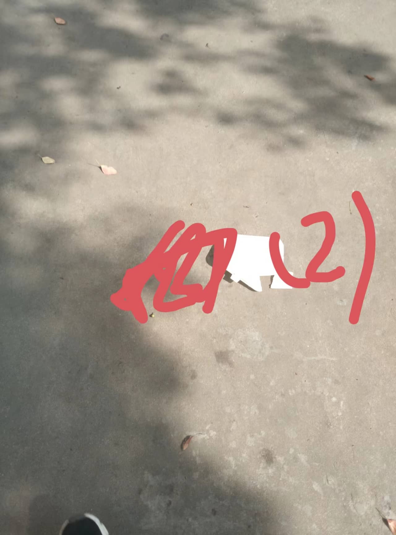 今日板小2023.10.13(图6)