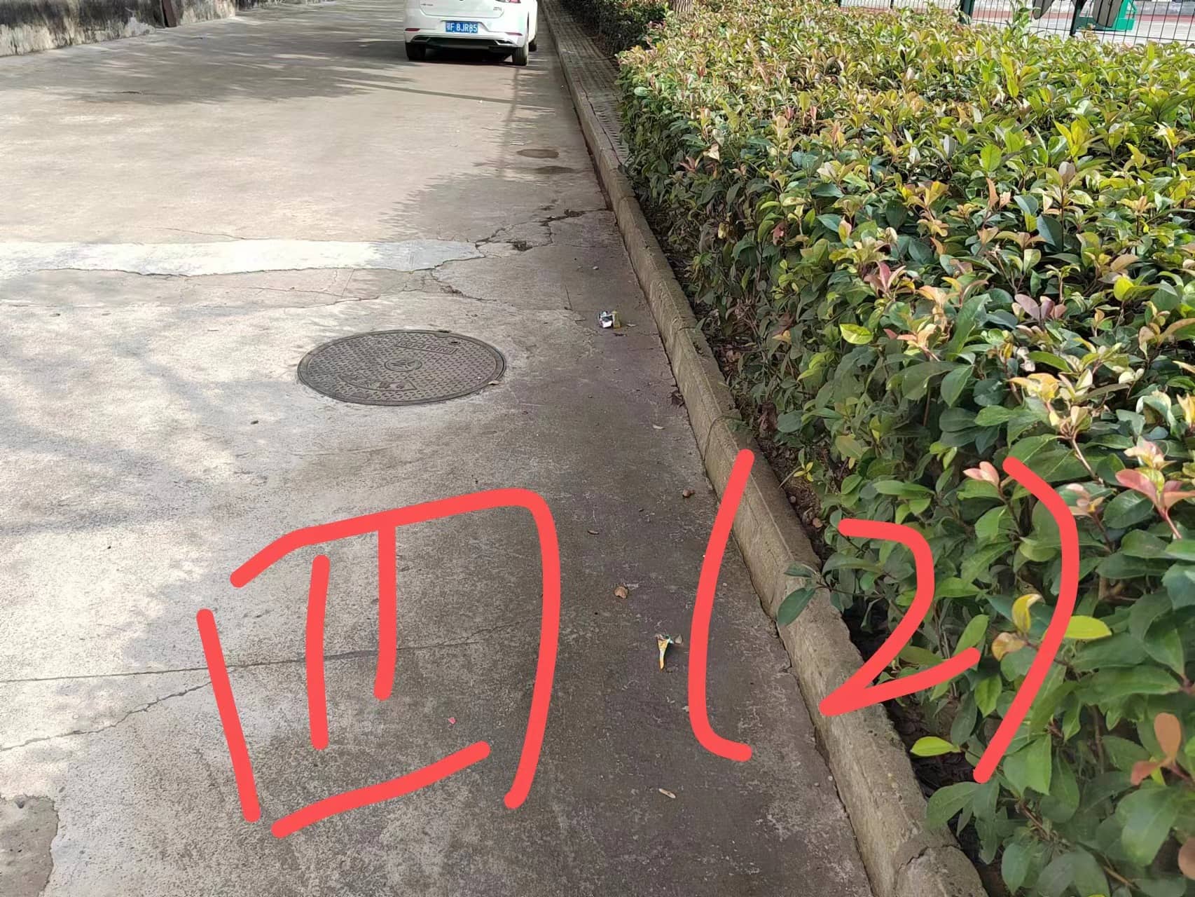 今日板小2023.10.20(图7)