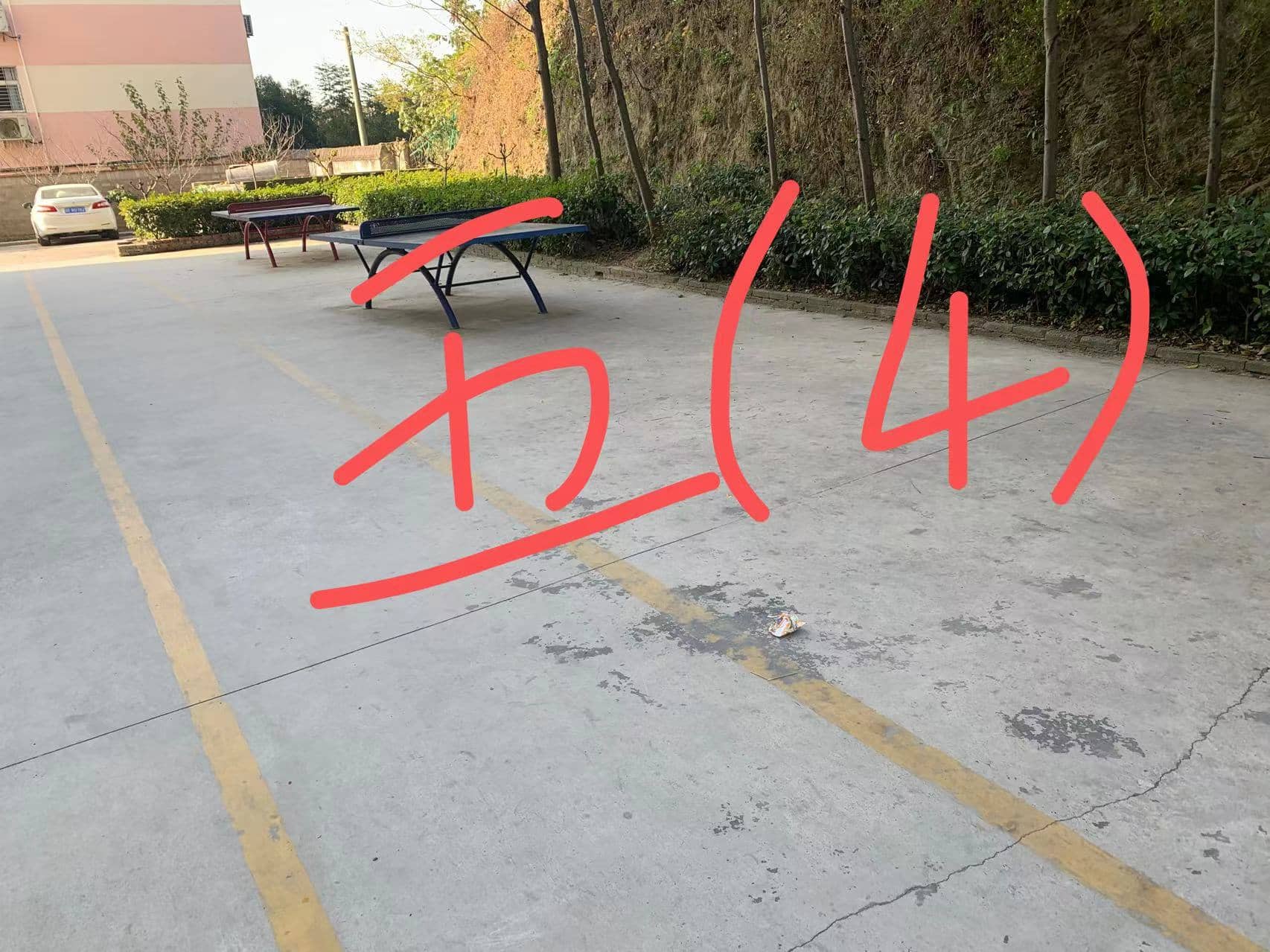 今日板小 2023.11.24(图6)