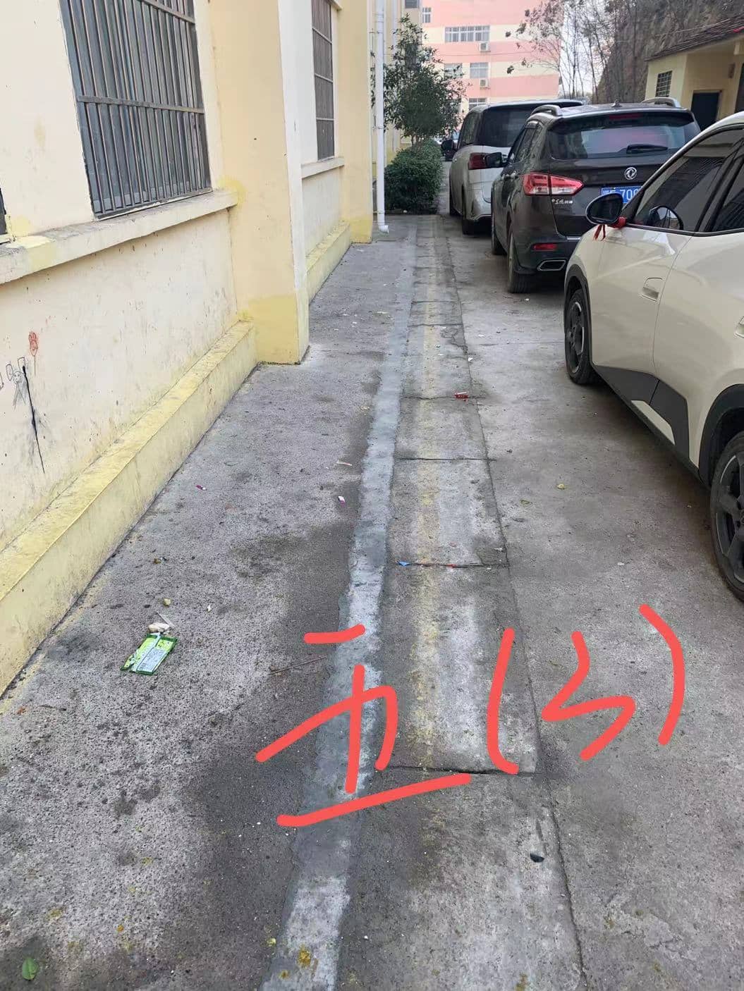 今日板小 2024-1-05(图8)