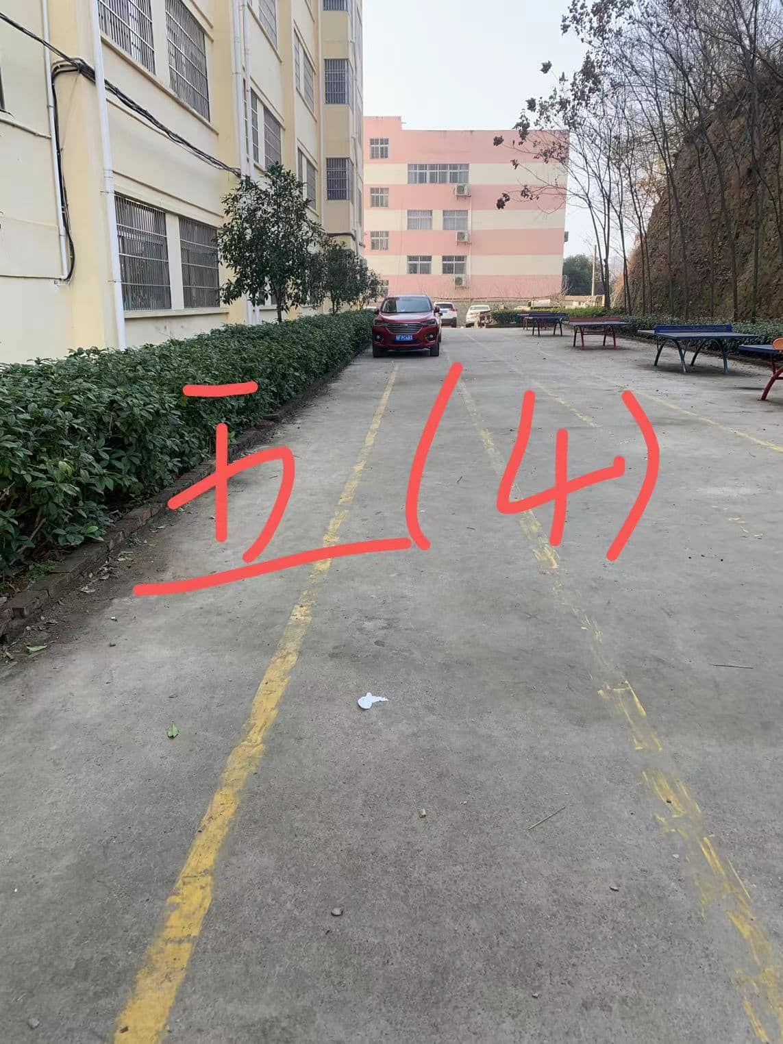 今日板小 2024-1-05(图9)