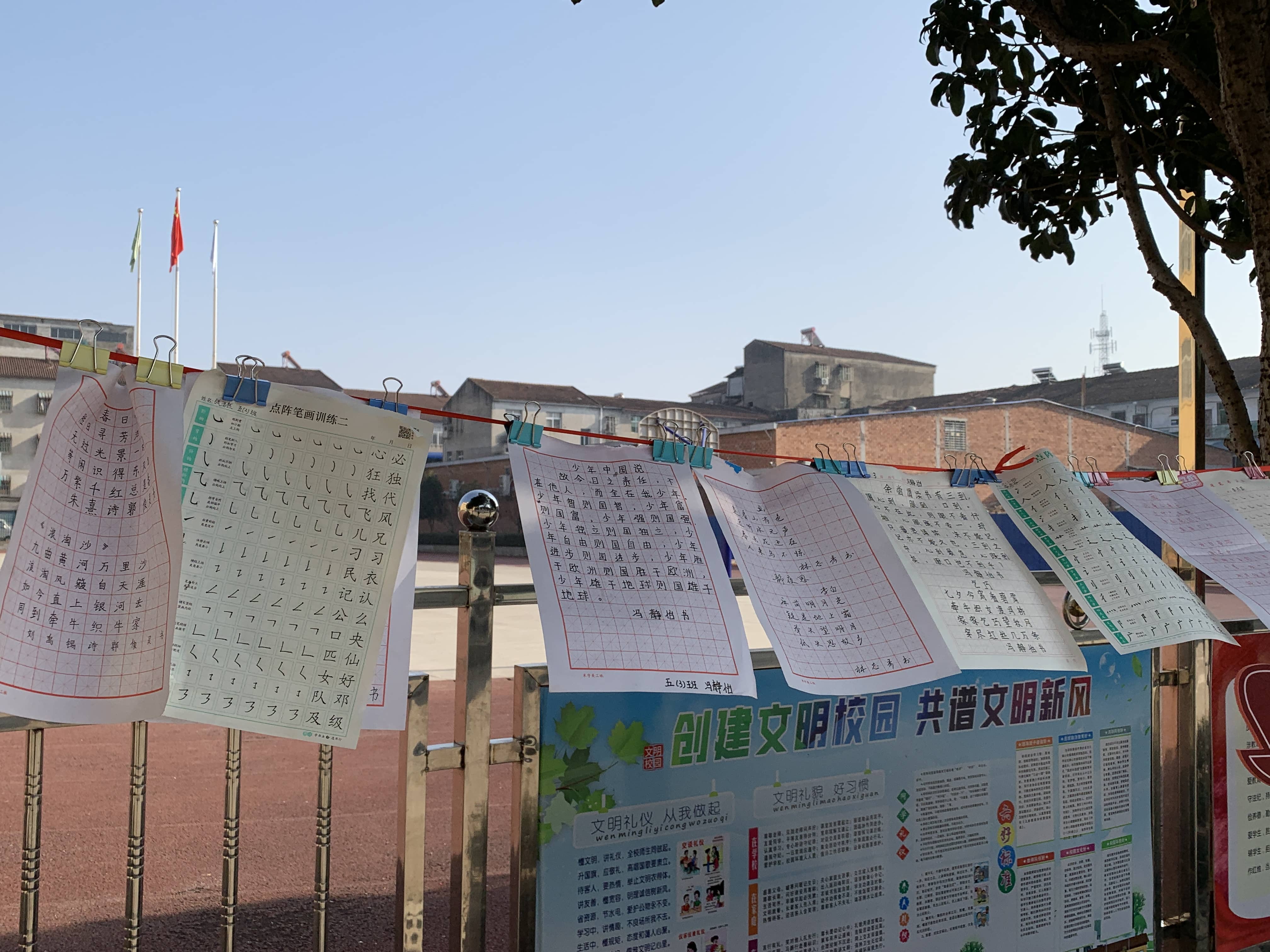 今日板小 2024-1-12(图4)