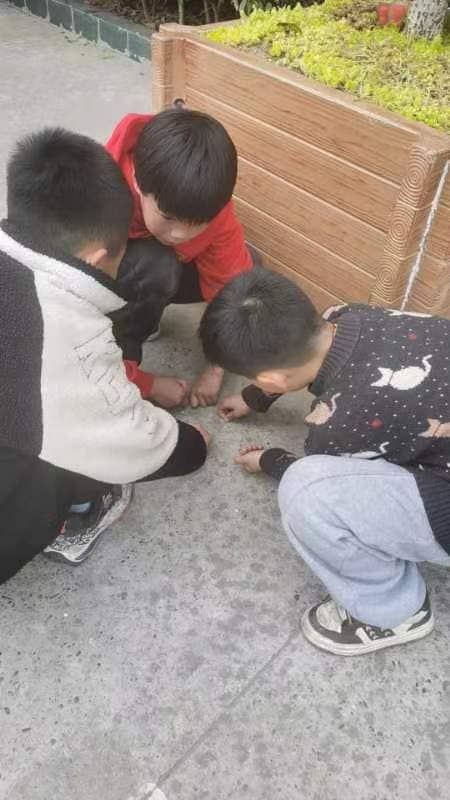 今日板小 2024-3-15(图8)