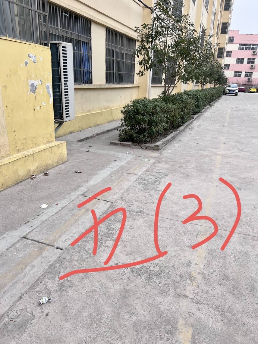 今日板小 2024-3-15(图5)