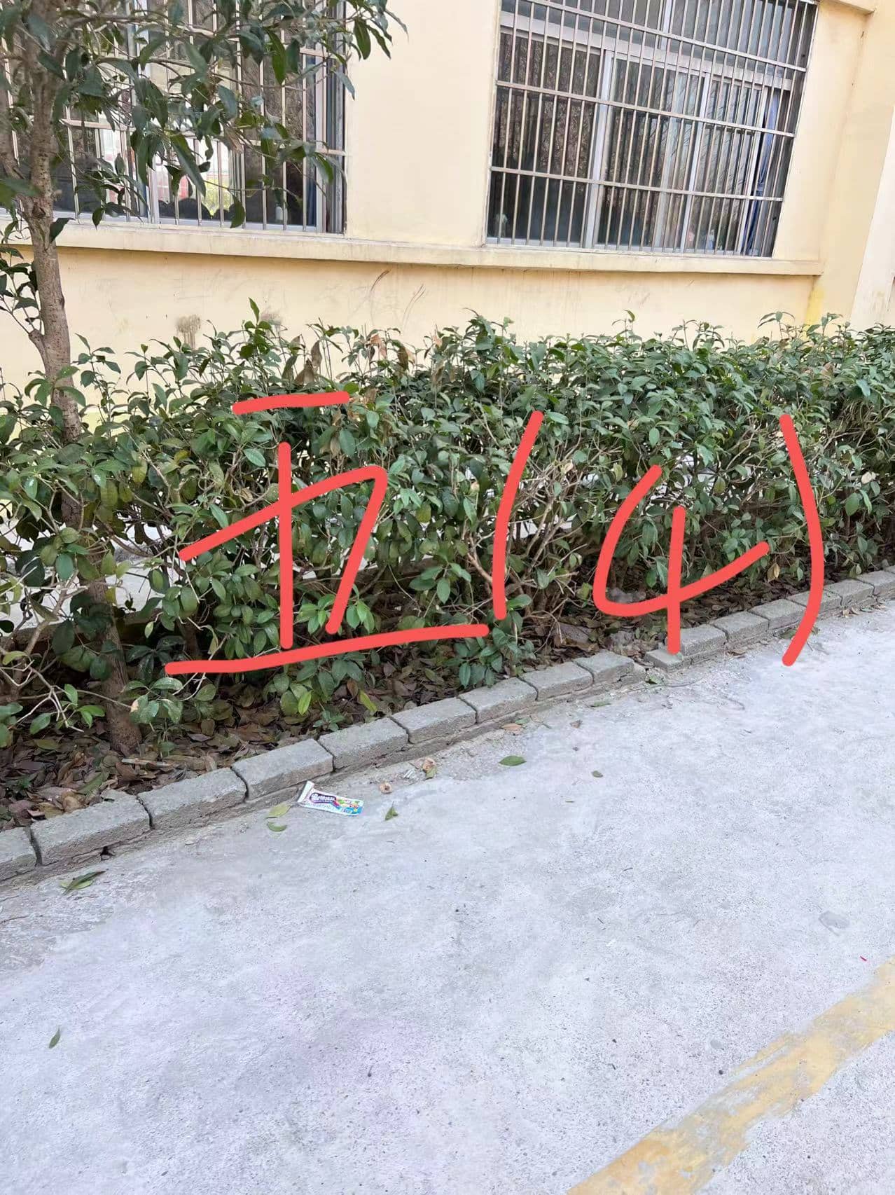今日板小 2024-3-22(图9)