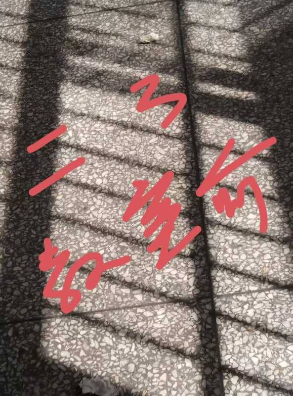 今日板小 2024-3-29(图9)