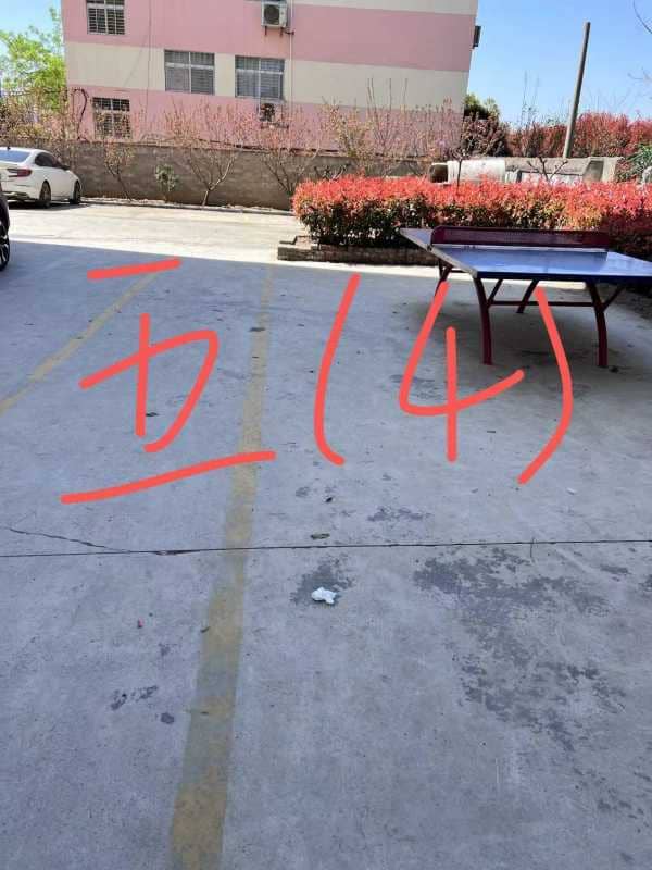 今日板小 2024-3-29(图12)