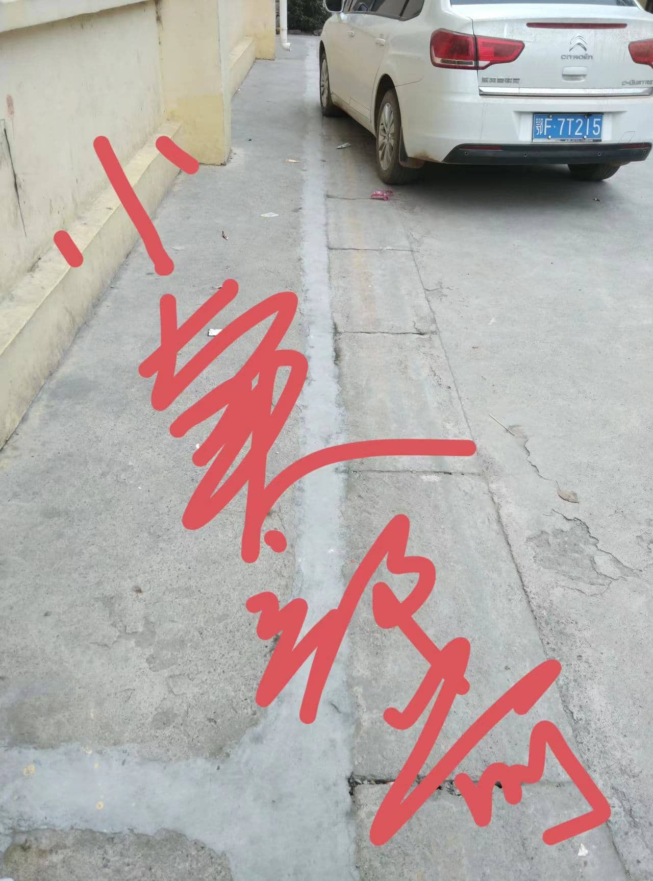 今日板小 2024-4-12(图4)