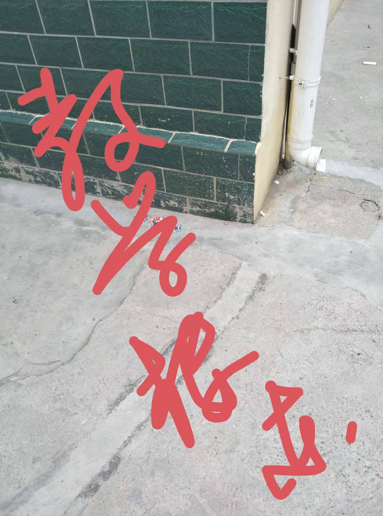 今日板小 2024-4-12(图5)