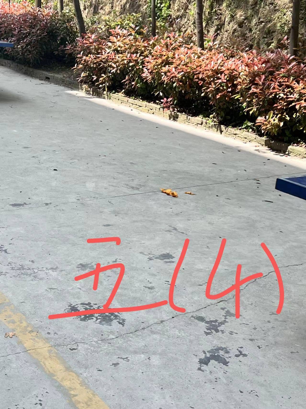 今日板小 2024-4-12(图8)