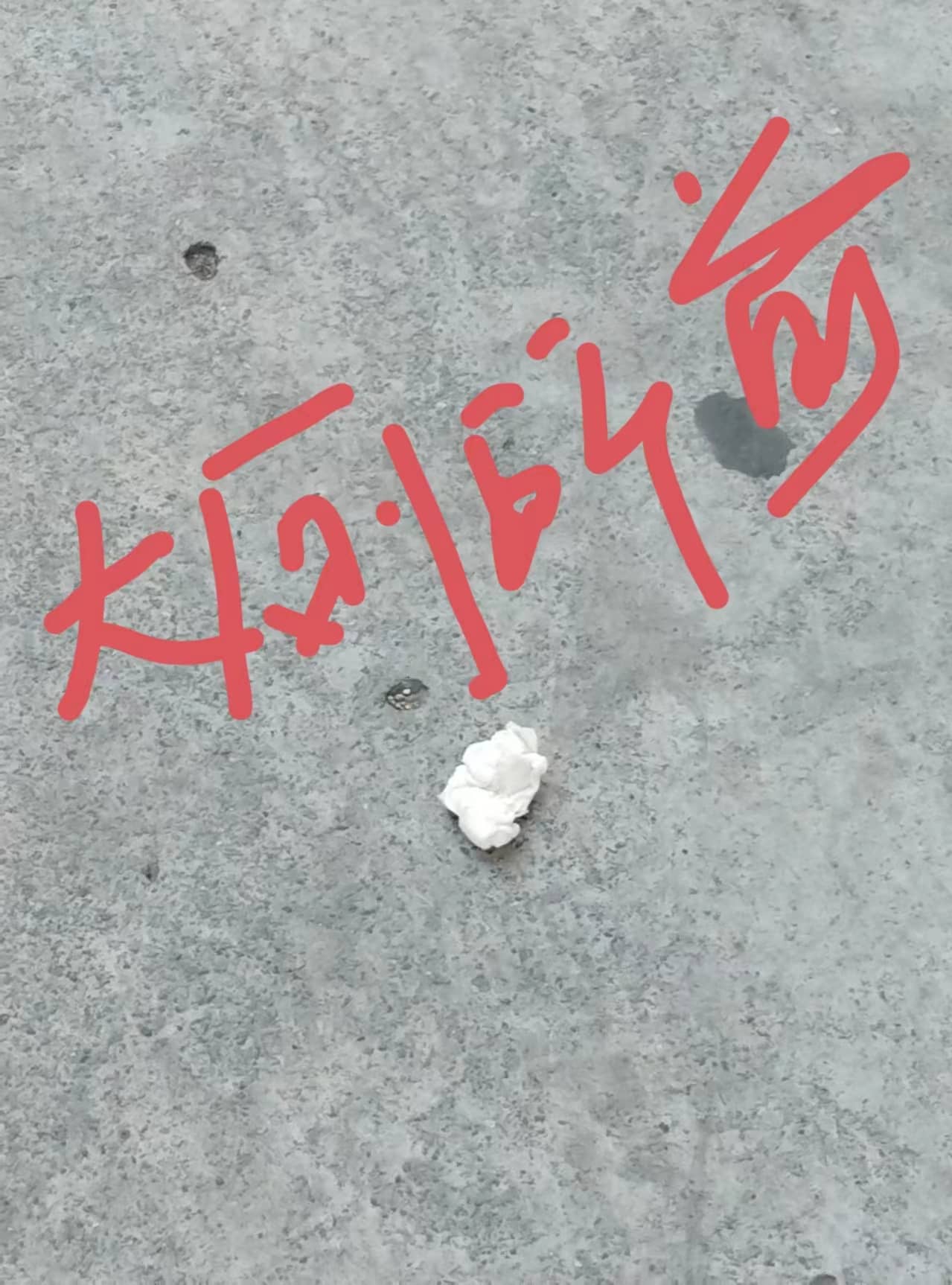 今日板小 2024-4-26(图7)