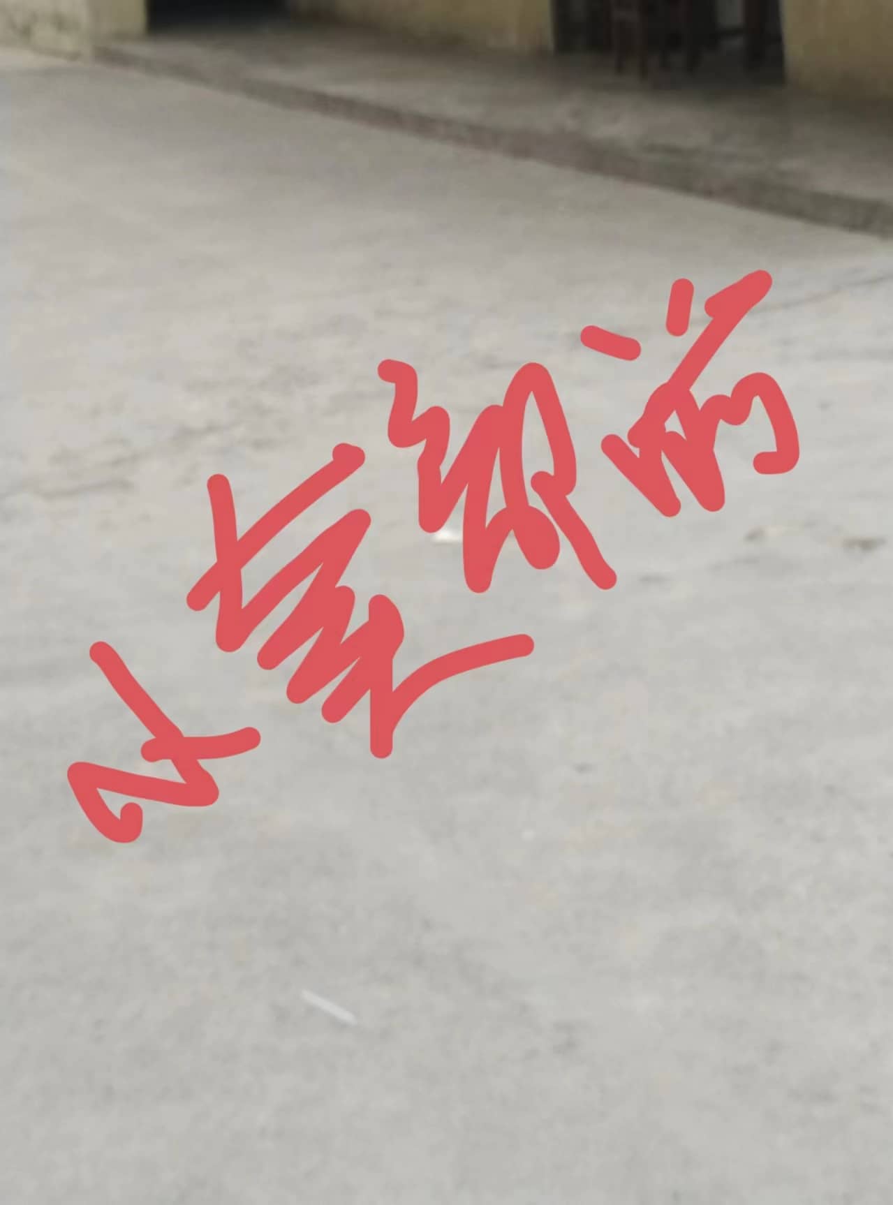 今日板小 2024-6-7(图8)