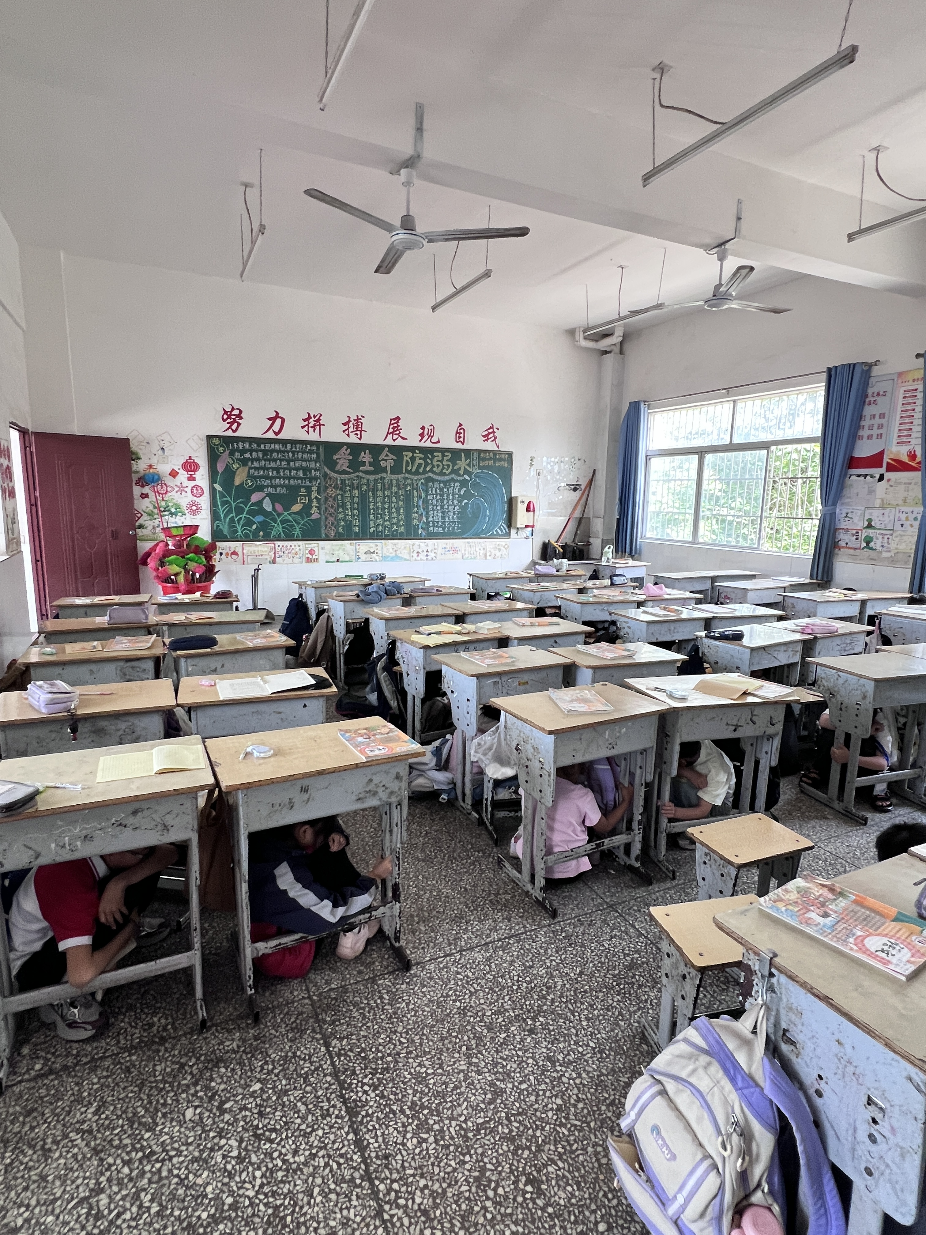 防震演练，安全相伴——板桥小学开展防震演练活动(图1)