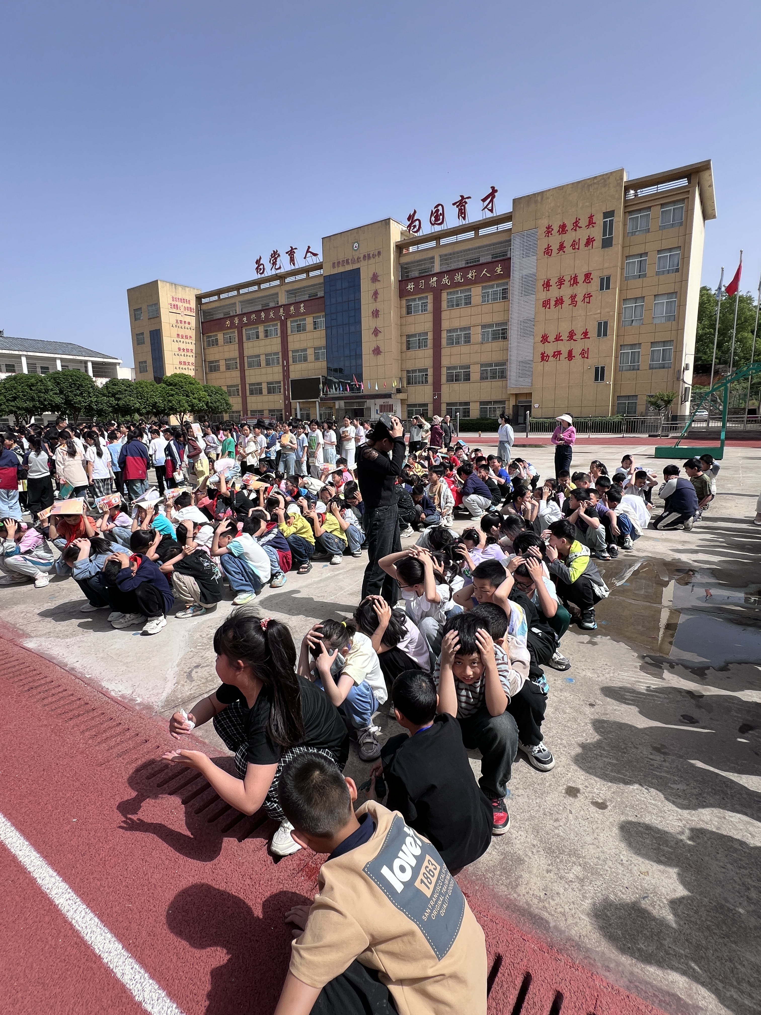 防震演练，安全相伴——板桥小学开展防震演练活动(图3)