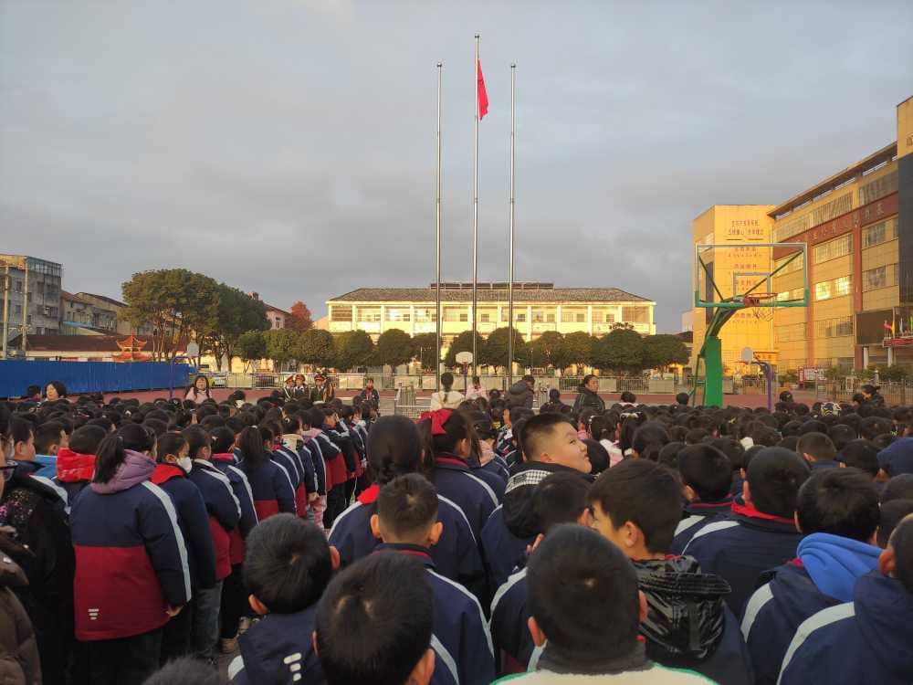2023年12月11日(图2)