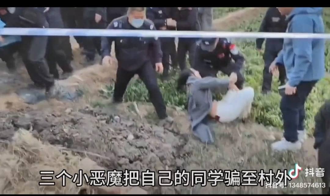 今日板小2024.03.20(图4)