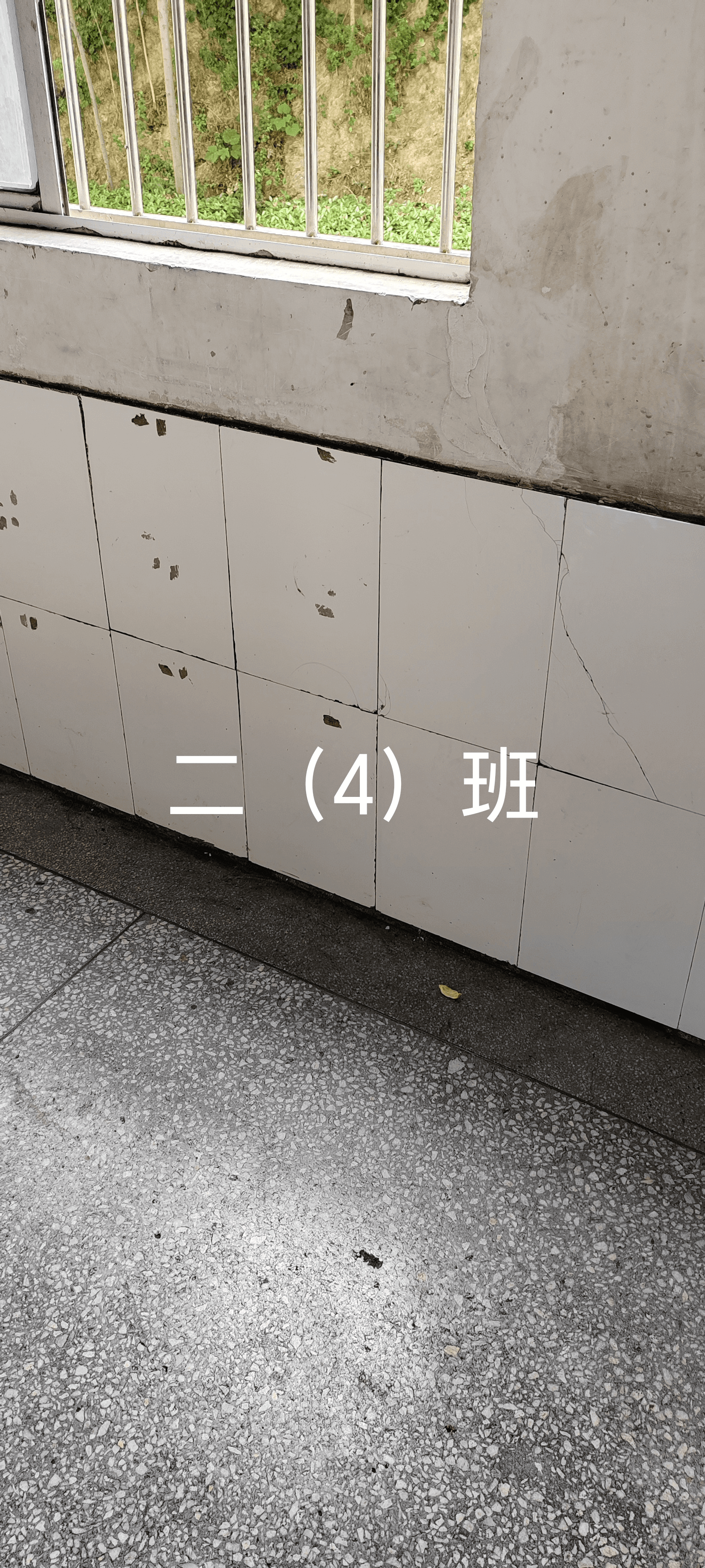 2024年5月27日(图5)